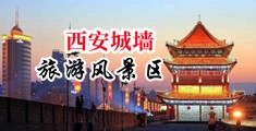 观看岛国男女激情交合中国陕西-西安城墙旅游风景区